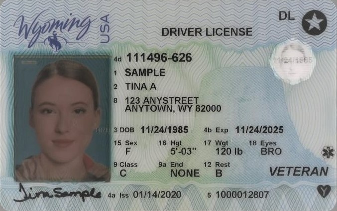image of wyoming state driver license