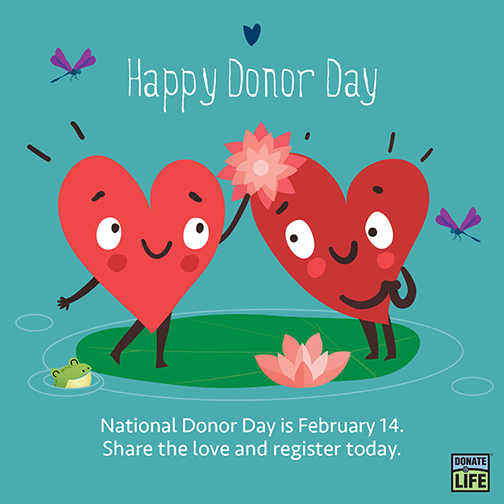 A pair of cartoon hearts. One is giving the other a flower. The text below reads: National Donor Day is February 14. Share the love and register today.