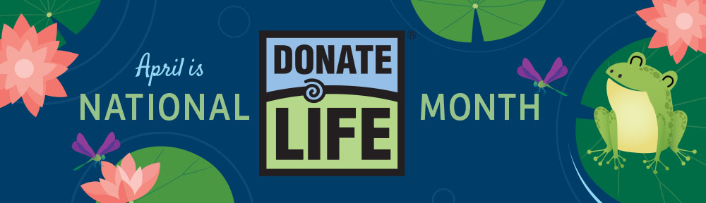 April is national donate life month graphic with frog sitting on lilly pad three peach flowers and three dragon flies donate life logo 