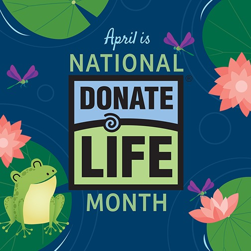 A cartoon frog sitting on a lillipad in bottom left corner. A lillipad in each corner floating on blue water water with three pink flowers and three purple dragon flies. The text below reads: April is National Donate Life Month