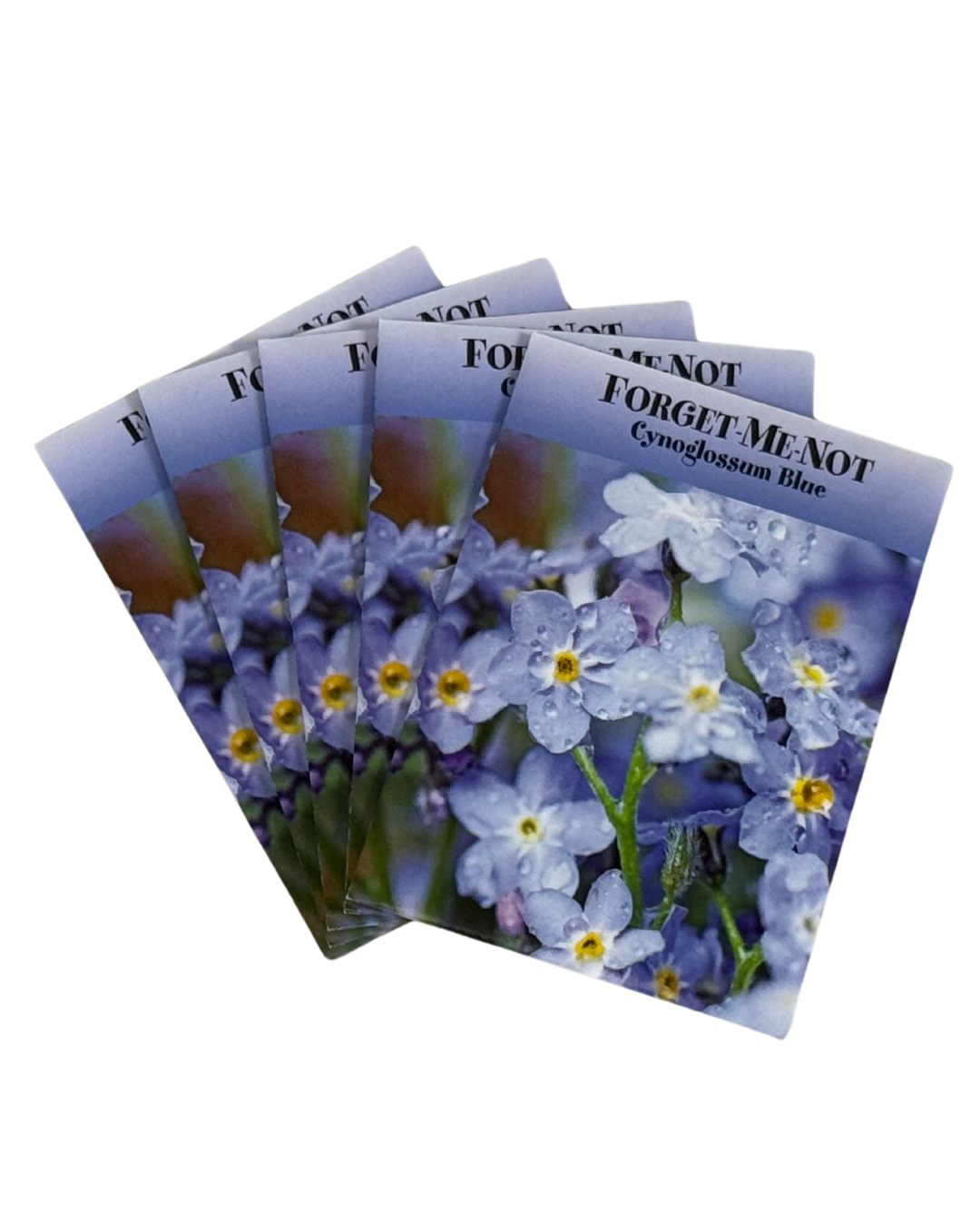 forget-me-not seed packets for eye tissue donor families part of the Rocky Mountain Lions Eye Bank's Ripple Effect program